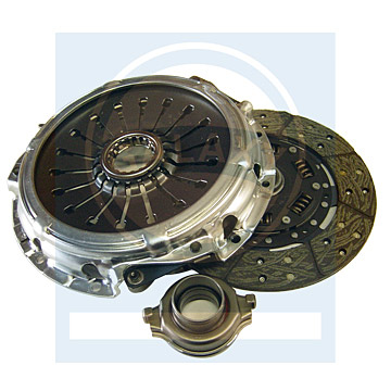 Clutch More Than 2, 000 Types