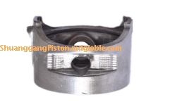 pistons for gasoline cars