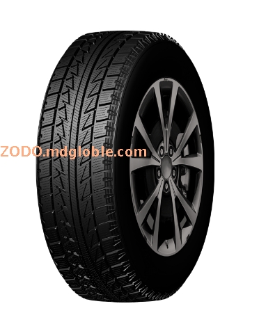 Passenger car tires FRONWAY WINTER