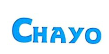 Ningbo Chayo Automotive Products Co., Ltd.