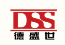 Rizhao DSS International Trading Co, Ltd. 